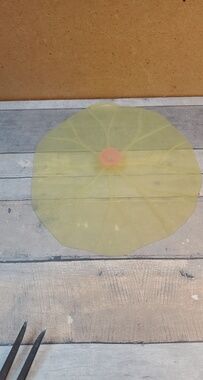 Charles Viancin Silicone No Spill Cover